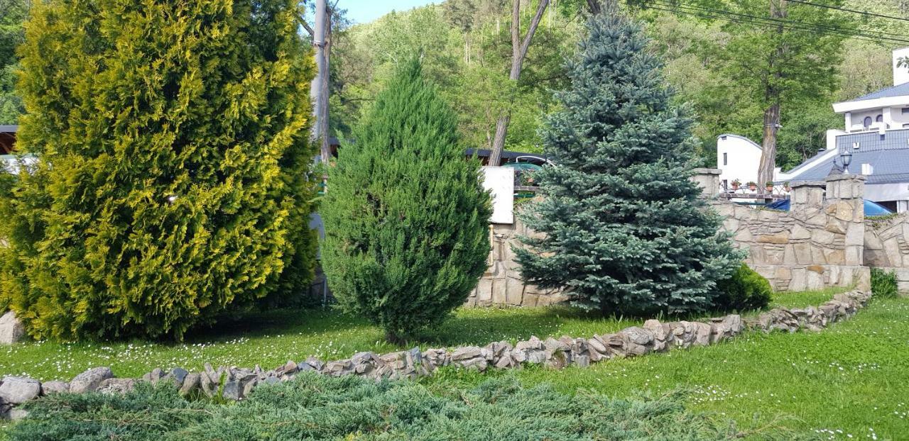 Pensiunea La Cetate Târgu Neamţ Exterior foto