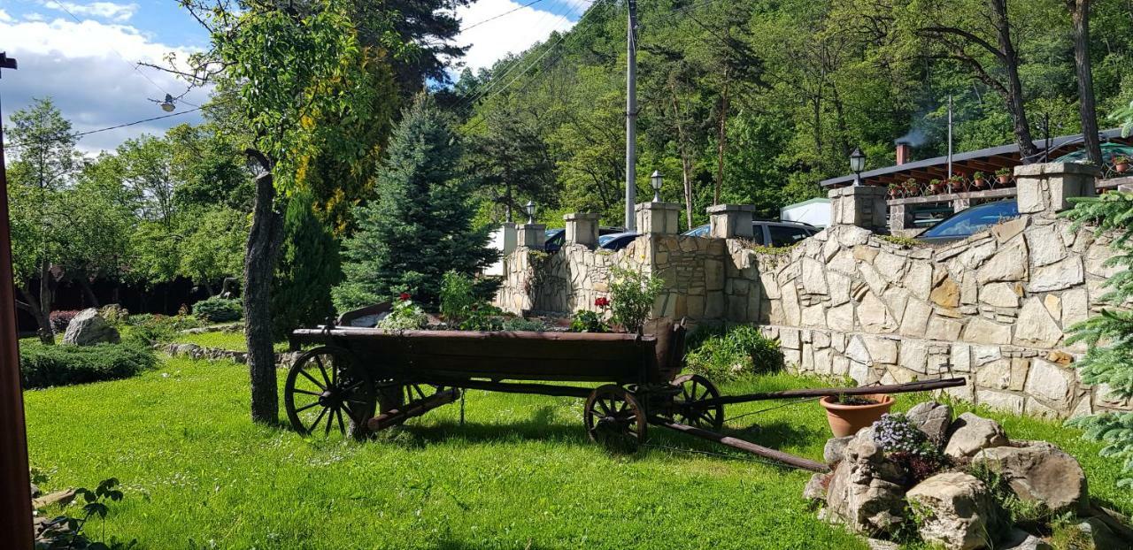Pensiunea La Cetate Târgu Neamţ Exterior foto